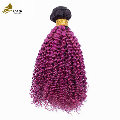 Afro Kinky Curly Dark Root Purple Ombre वर्जिन मानव बाल बंडल बिक्री के लिए