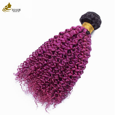 Afro Kinky Curly Dark Root Purple Ombre वर्जिन मानव बाल बंडल बिक्री के लिए