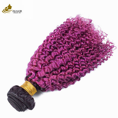 Afro Kinky Curly Dark Root Purple Ombre वर्जिन मानव बाल बंडल बिक्री के लिए